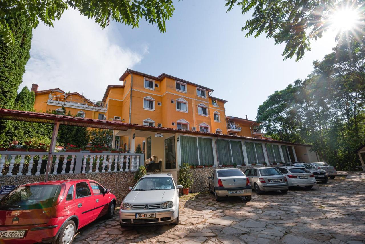 Aida Hotel Spa & Tratament Geoagiu Băi Exterior foto